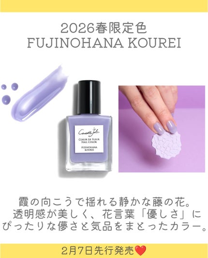 Coeur de Fleur Nail Color/Causette.Joli/マニキュアを使ったクチコミ(3枚目)