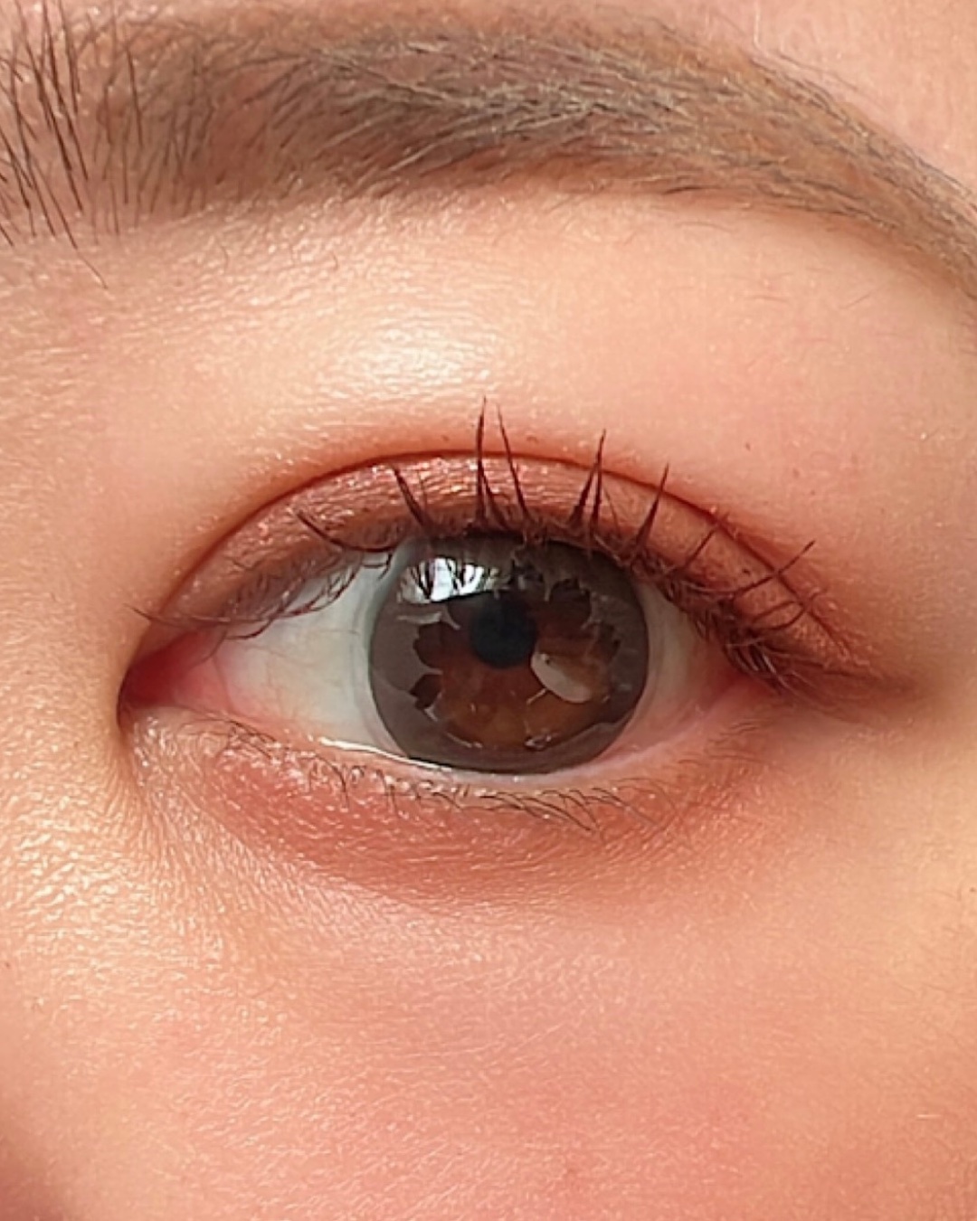 トーン ペタル フロート アイズ/to/one/単色アイシャドウを使ったクチコミ（3枚目）