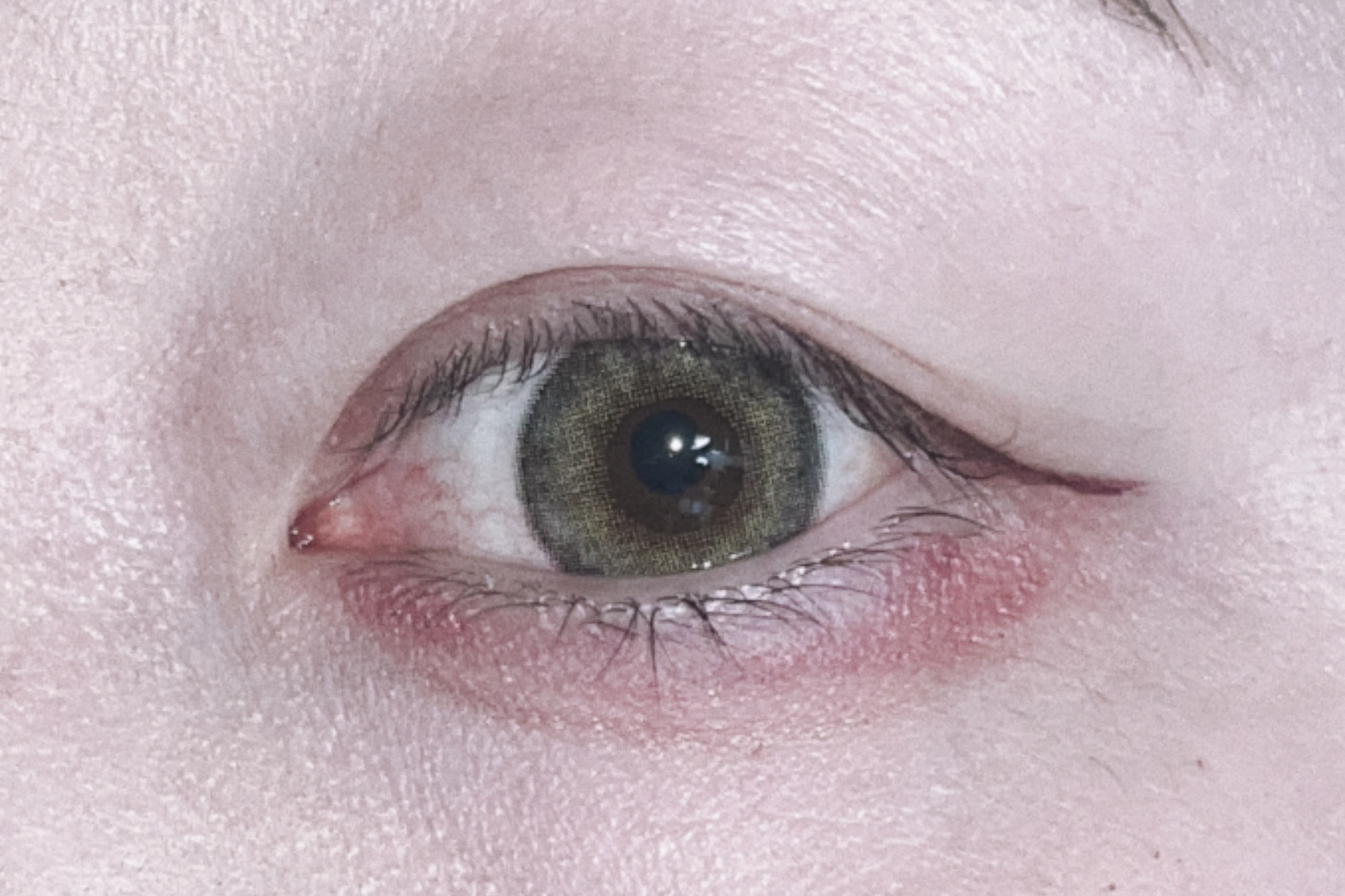 N’s COLLECTION 1day/N’s COLLECTION/ワンデー（１DAY）カラコンを使ったクチコミ（3枚目）