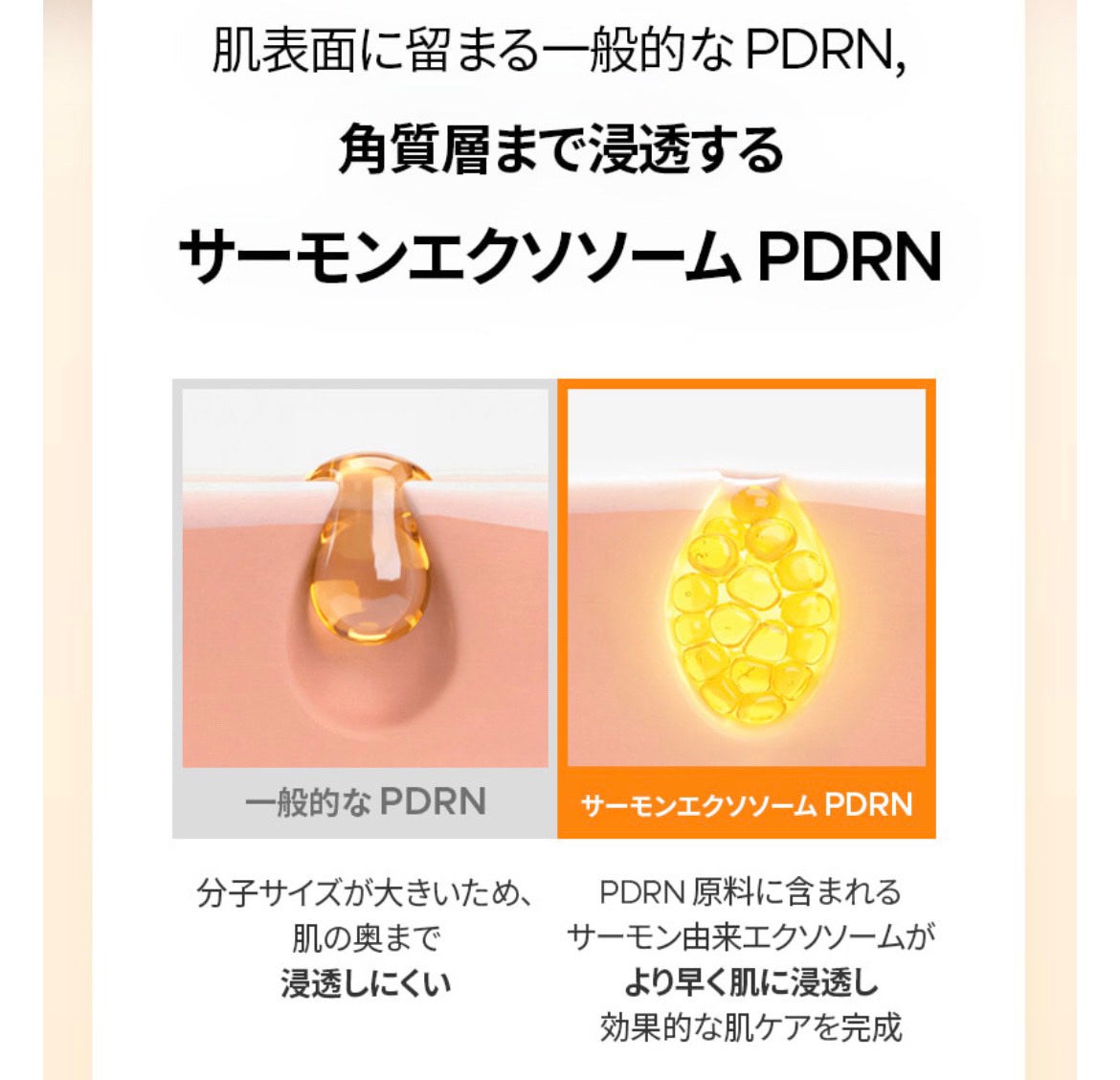 リデンスリアルPDRNコラーゲンアンプル/redence/美容液を使ったクチコミ(4枚目)