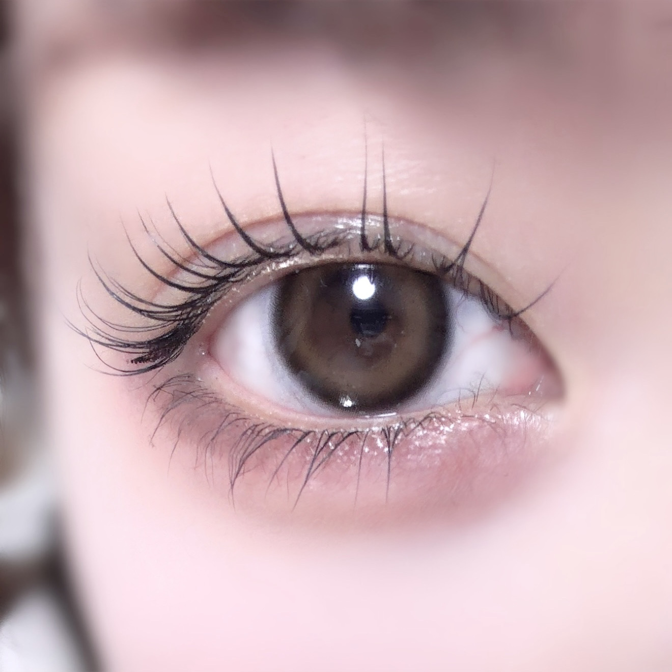 ブラッシュクリームライナー/minum/ペンシルアイライナーを使ったクチコミ（1枚目）