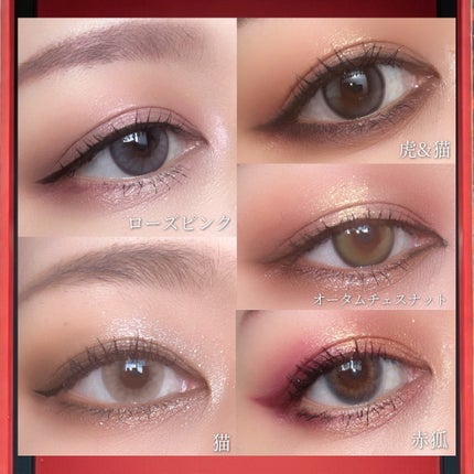 エクスプローラ12色 動物アイシャドウパレット/PERFECT DIARY/アイシャドウパレットを使ったクチコミ(5枚目)