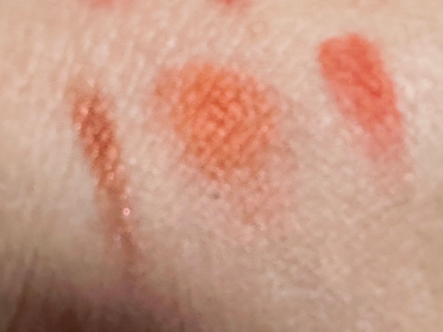 エクスプローラ12色 動物アイシャドウパレット/PERFECT DIARY/アイシャドウパレットを使ったクチコミ(3枚目)