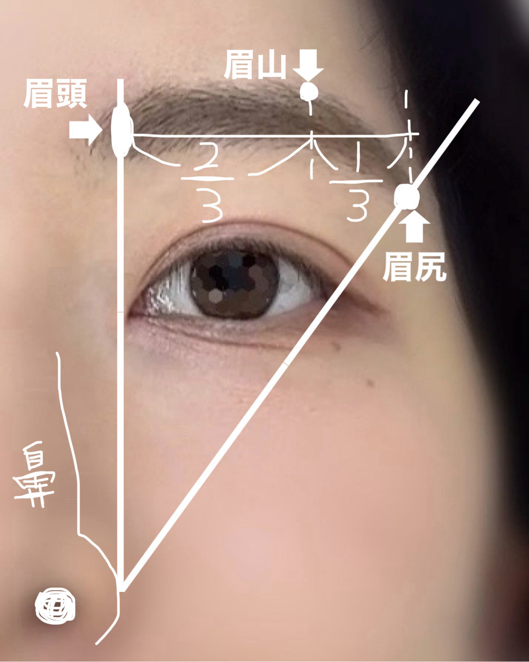 フェザー フラミンゴ フラミンゴS Very フェイス用（ガード付き）のクチコミ「美しい眉に整えたい人必見♡
【美しい眉の作り方〜基本＋私の整え方〜】

眉がしっくりこない原因.....」（2枚目）