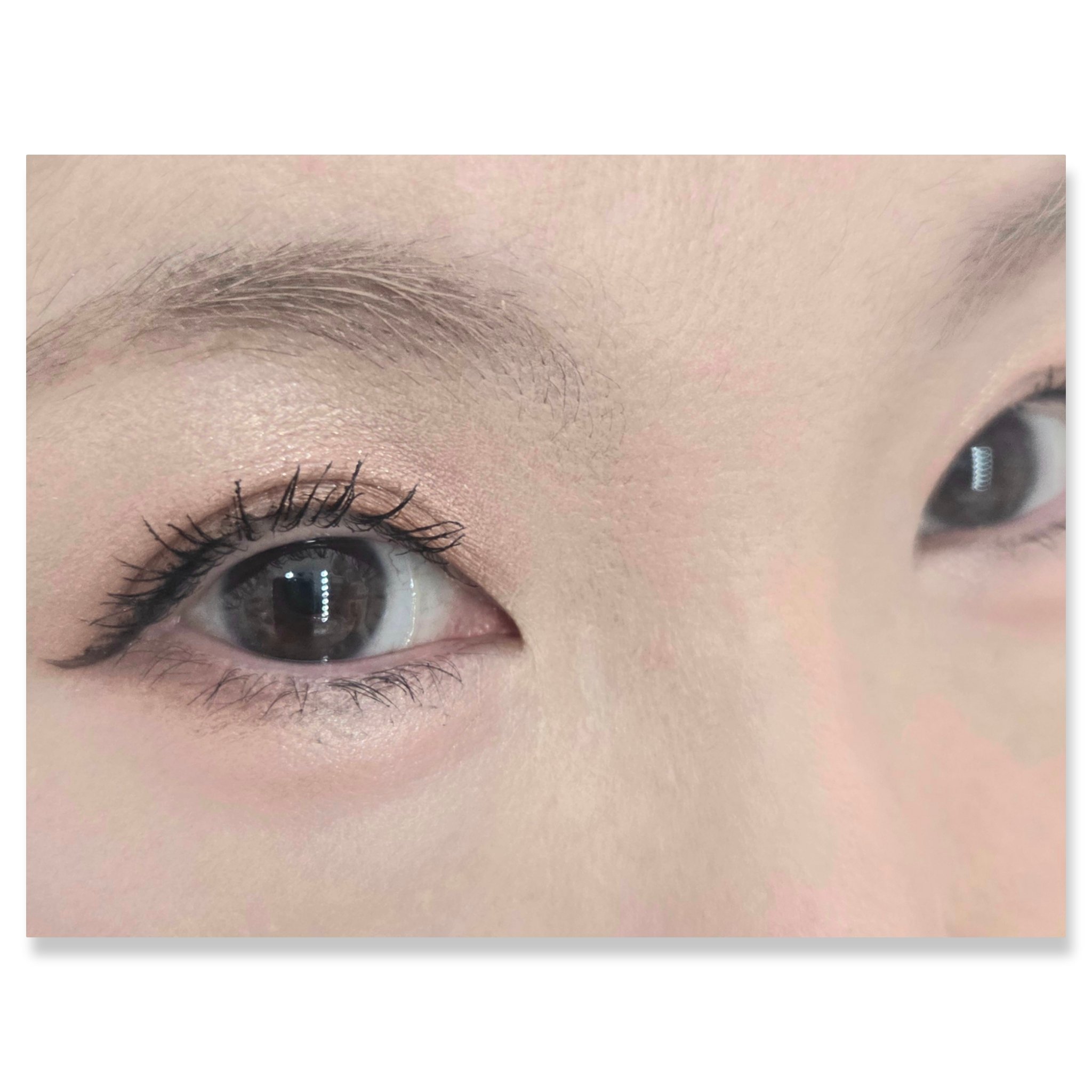 グラデーション アイシャドウ/ちふれ/アイシャドウパレットを使ったクチコミ（2枚目）