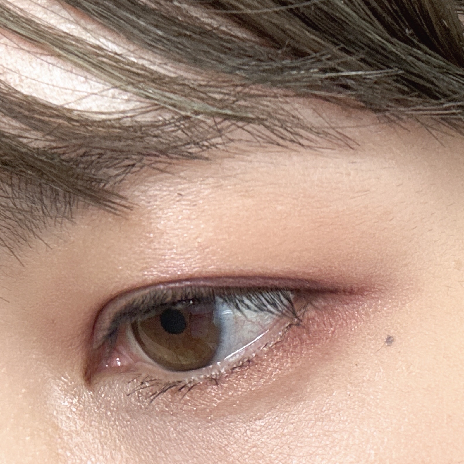 デイジードール アイ ドロー シャドウ/DAISY DOLL by MARY QUANT/アイシャドウパレットを使ったクチコミ（2枚目）