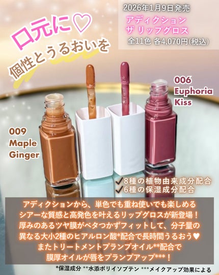 アディクション ザ リップグロス/ADDICTION/リップグロスを使ったクチコミ(2枚目)