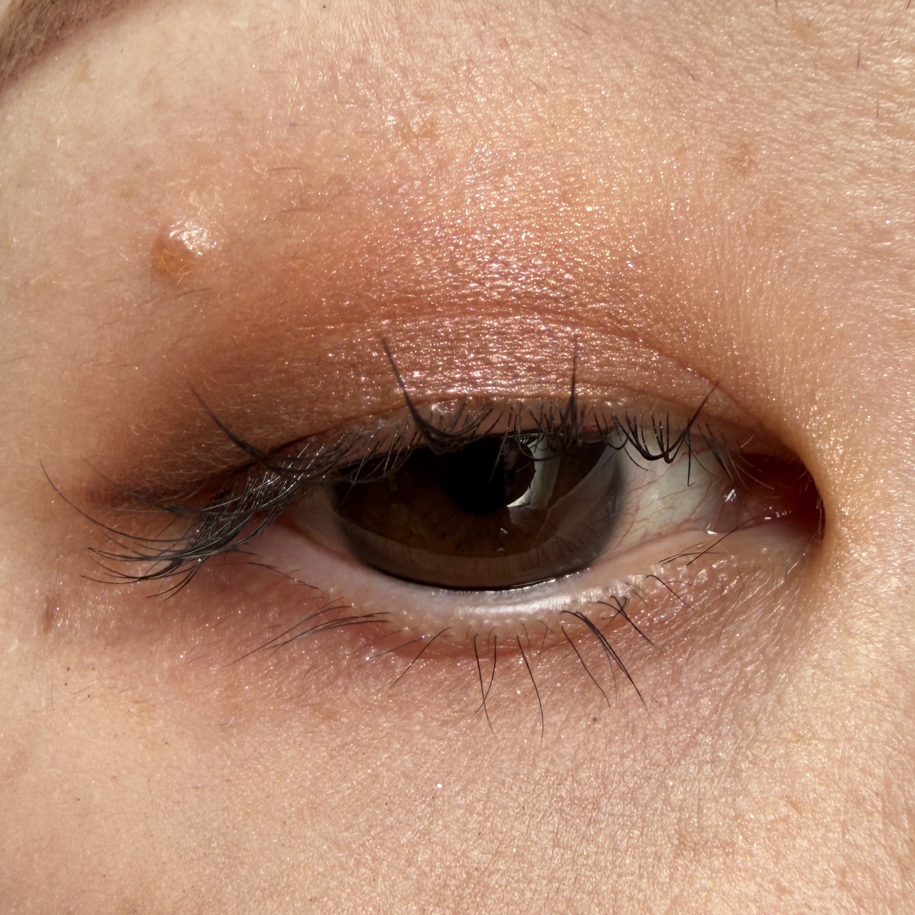 モノ ルック アイズ/SUQQU/単色アイシャドウを使ったクチコミ（2枚目）