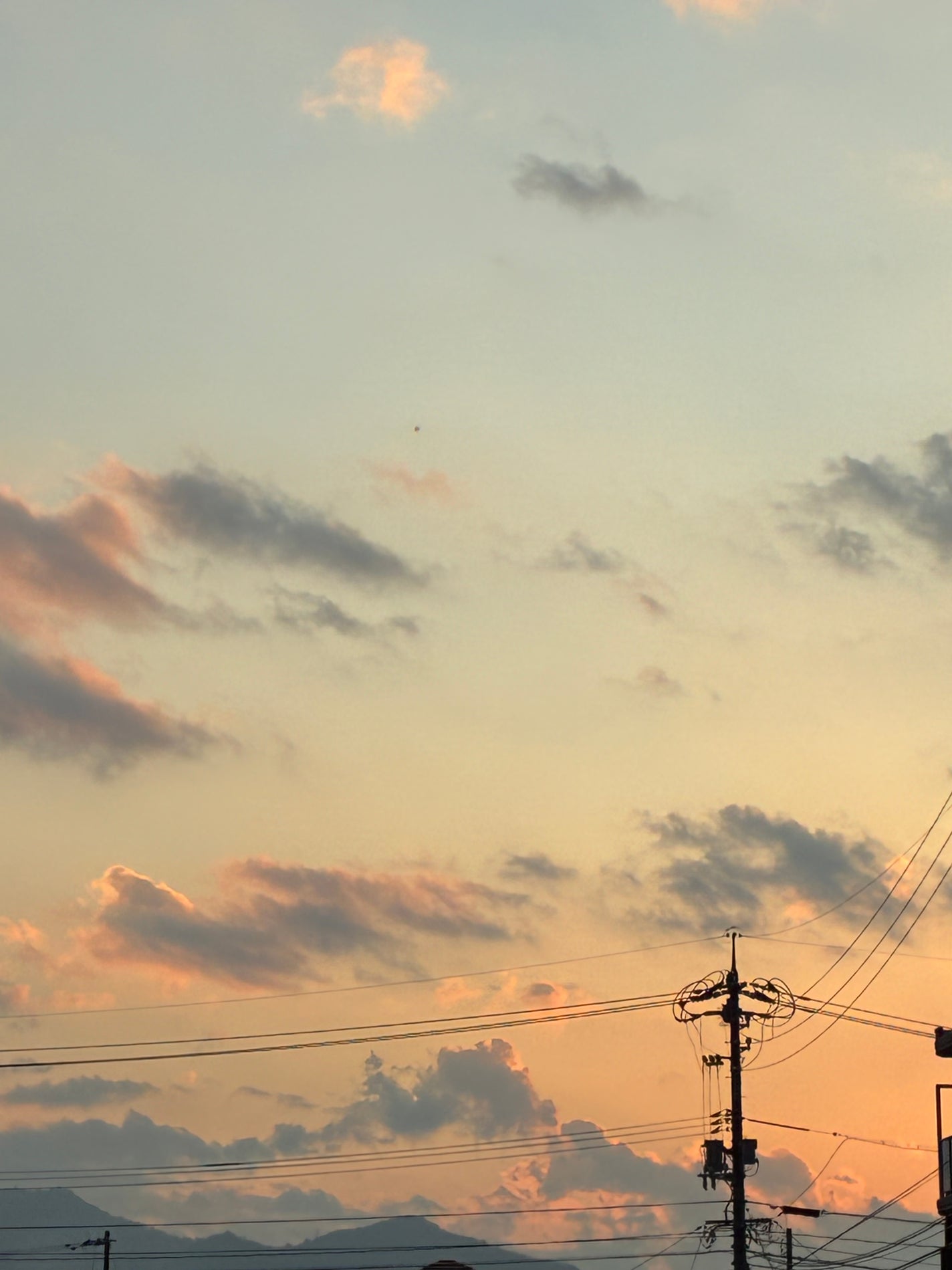 カラーミキシングコンシーラー/キャンメイク/パレットコンシーラーを使ったクチコミ(1枚目)