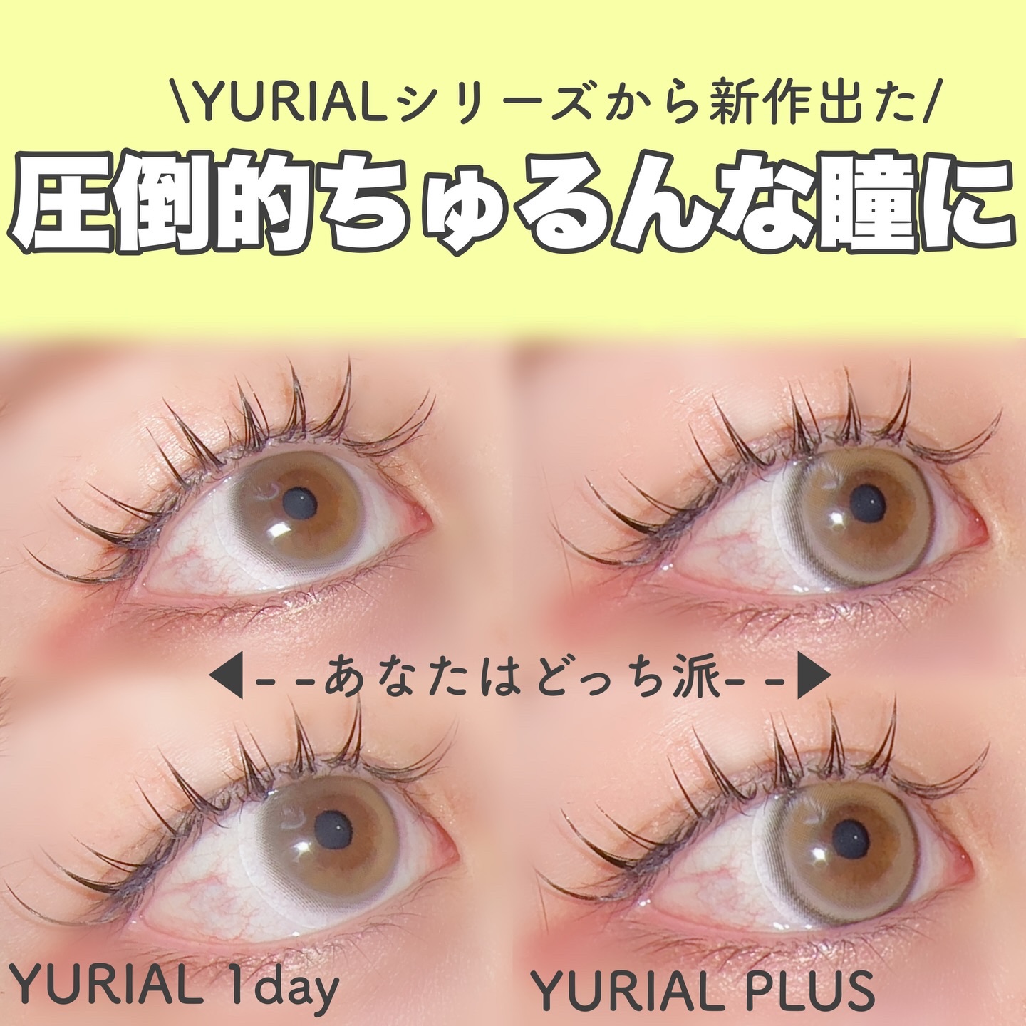 YURIAL 1DAY/URIA/ワンデー（１DAY）カラコンを使ったクチコミ（1枚目）