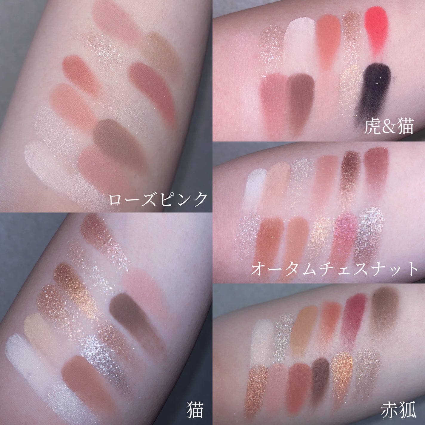 エクスプローラ12色 動物アイシャドウパレット/PERFECT DIARY/アイシャドウパレットを使ったクチコミ(6枚目)