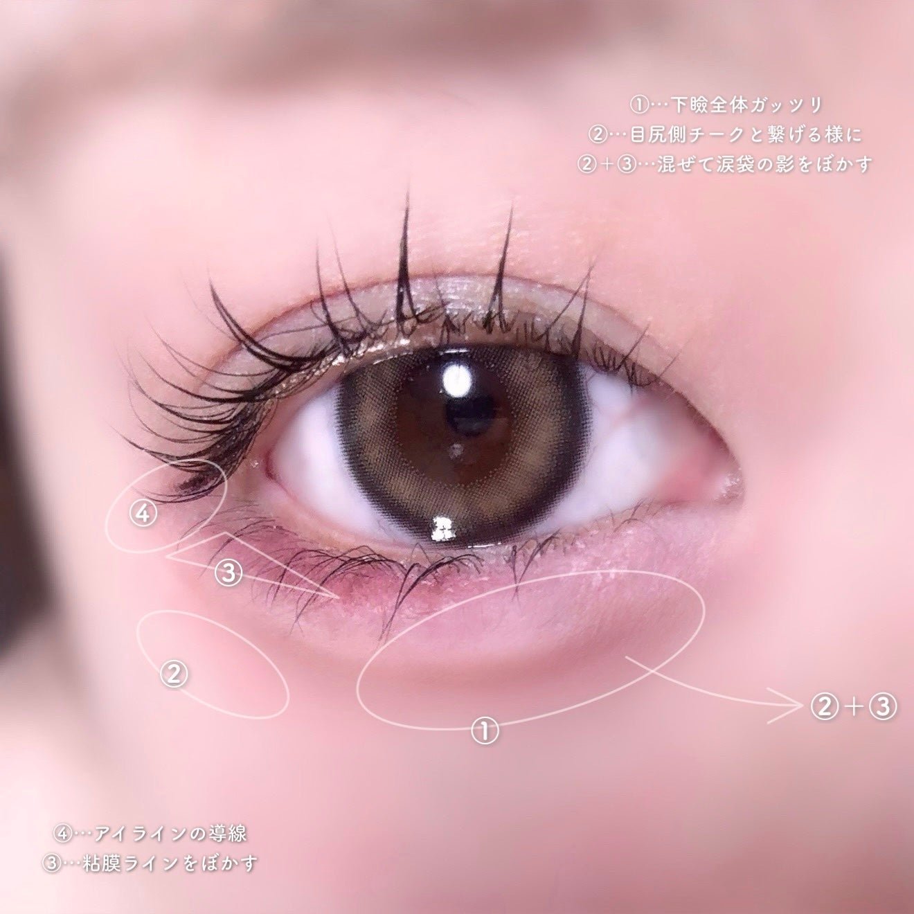 ベターミーアイパレット/2aN/マルチパレットを使ったクチコミ(1枚目)