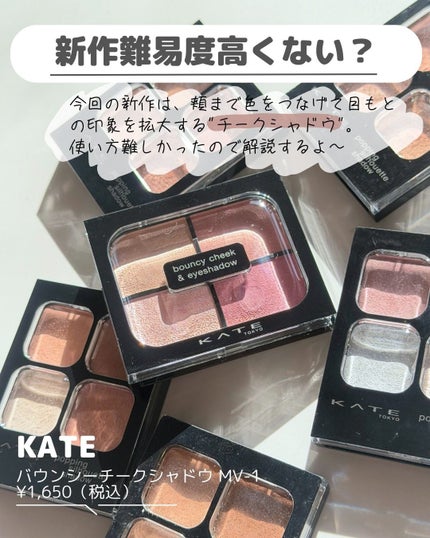 バウンシーチークシャドウ/KATE/マルチパレットを使ったクチコミ(2枚目)