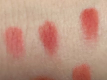 エクスプローラ12色 動物アイシャドウパレット/PERFECT DIARY/アイシャドウパレットを使ったクチコミ(4枚目)