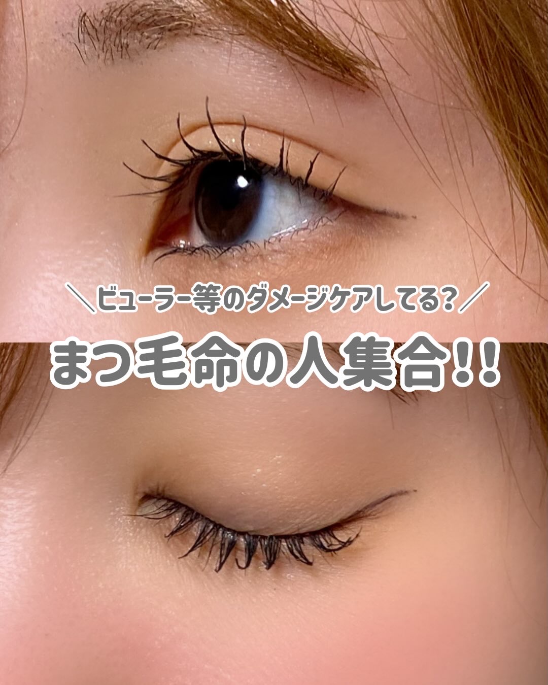 スカルプD アイラッシュセラム プレミアム/アンファー(スカルプD)/まつげ美容液を使ったクチコミ（1枚目）