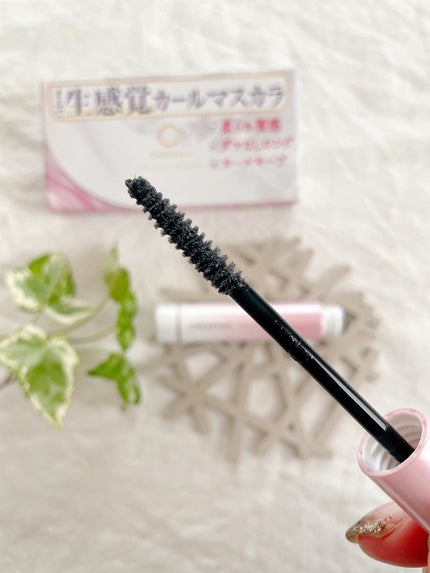 エアリーカールマスカラ ナチュラルロング/クレーリナ/マスカラを使ったクチコミ(2枚目)