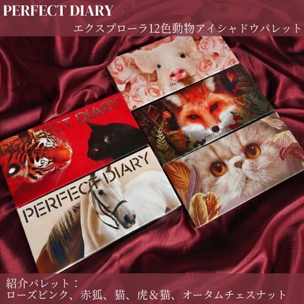 エクスプローラ12色 動物アイシャドウパレット/PERFECT DIARY/アイシャドウパレットを使ったクチコミ(2枚目)