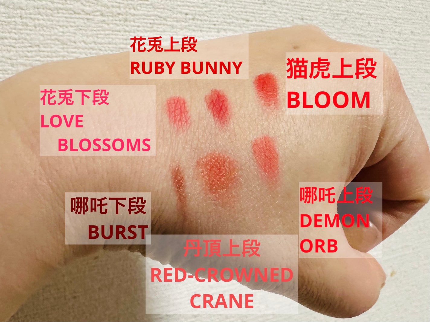 エクスプローラ12色 動物アイシャドウパレット/PERFECT DIARY/アイシャドウパレットを使ったクチコミ(2枚目)