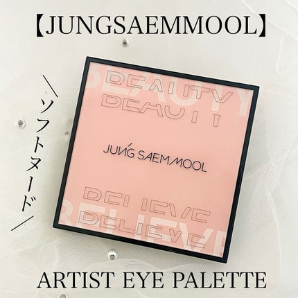 アーティストアイパレット/JUNG SAEM MOOL/アイシャドウパレットを使ったクチコミ(2枚目)
