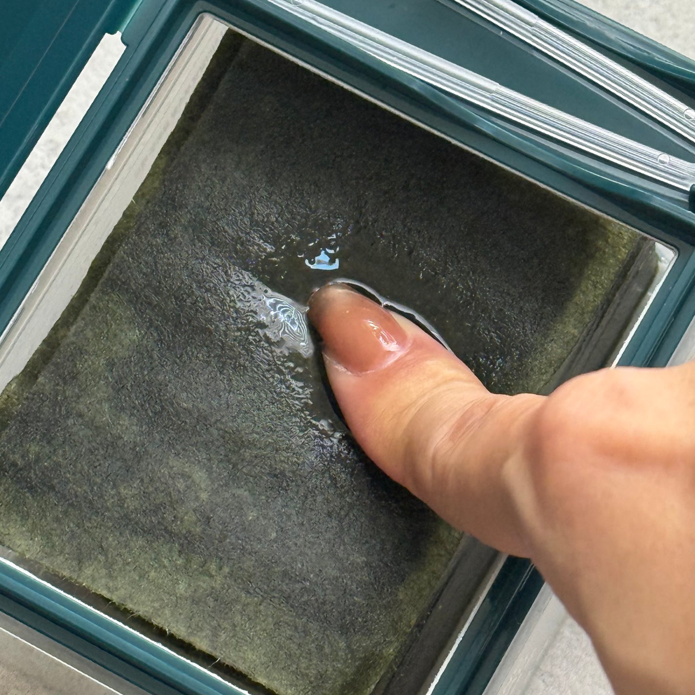 海苔PDRNブースティンググローパッド/Isntree/トナーパッドを使ったクチコミ(4枚目)