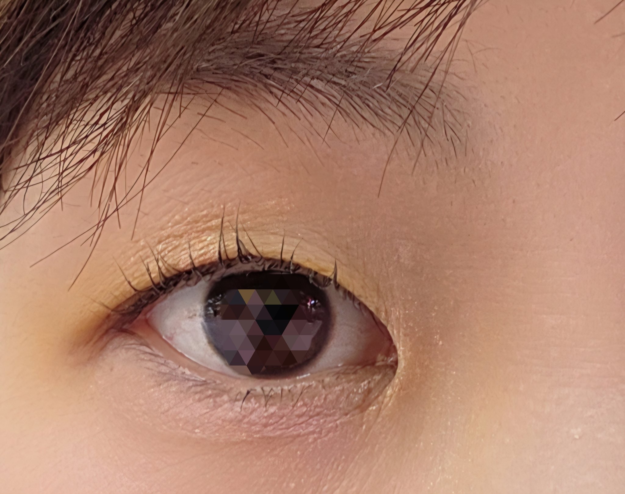 エクスプローラ12色 動物アイシャドウパレット/PERFECT DIARY/アイシャドウパレットを使ったクチコミ（3枚目）