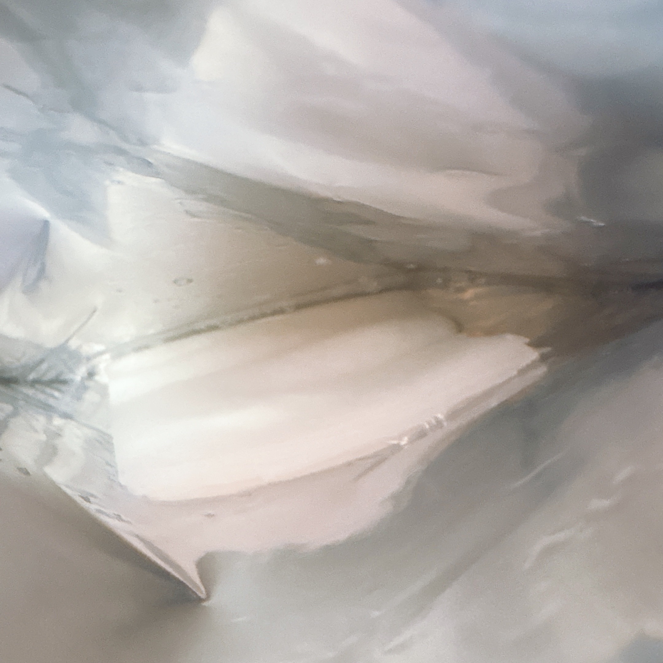 ピンクグルタチオン デイリースペシャルマスク/Milk Touch/シートマスク・パックを使ったクチコミ（2枚目）