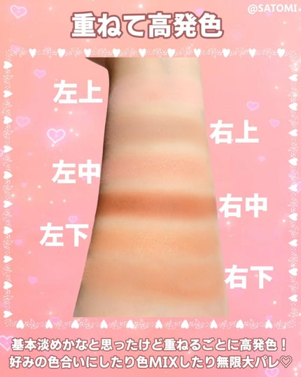 アーティストアイパレット/JUNG SAEM MOOL/アイシャドウパレットを使ったクチコミ(4枚目)