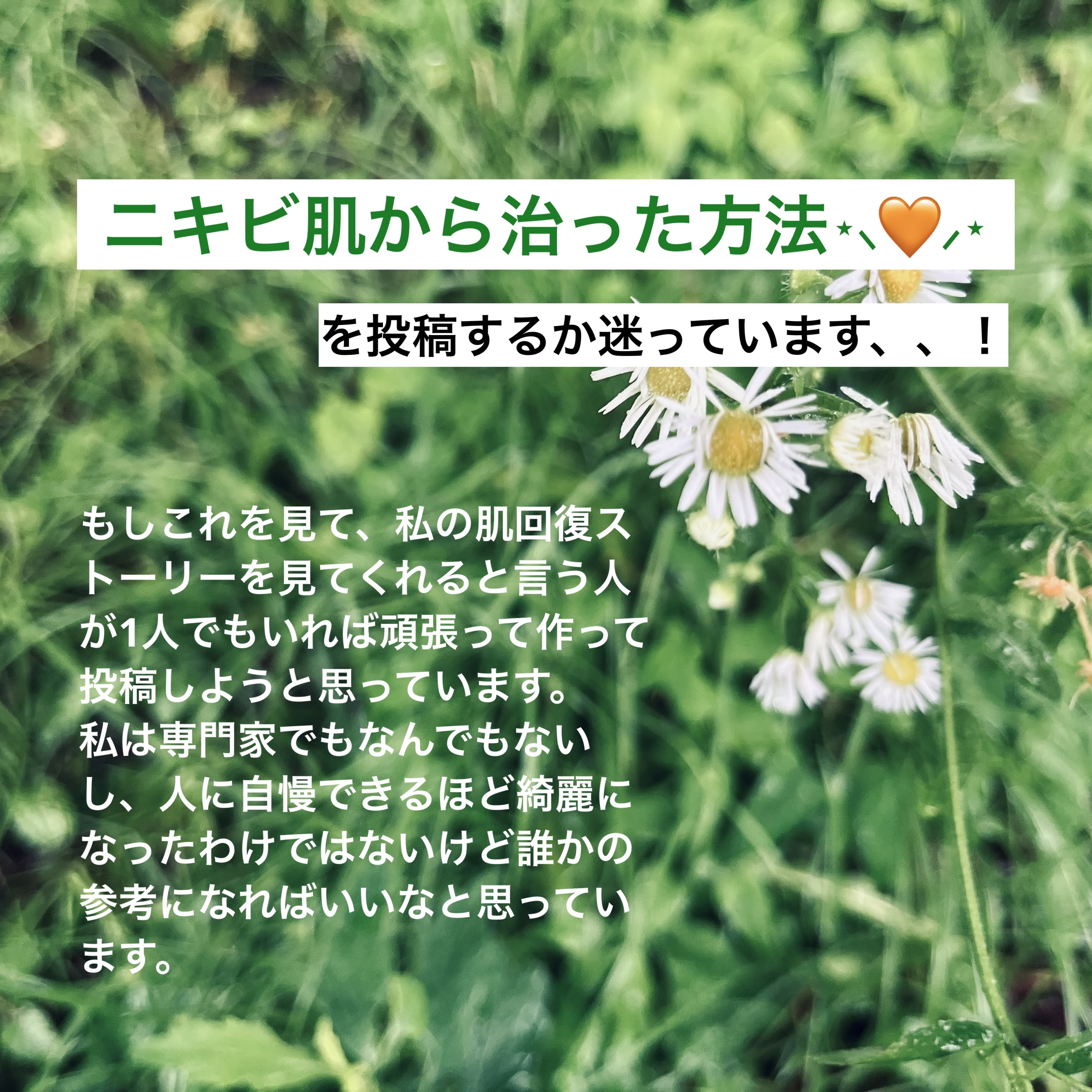 プロアクティブ プロアクティブ スキンケアパッチのクチコミ「 ニキビ肌から治った方法を投稿するか迷っています、、！
┈┈┈┈┈┈┈┈┈┈┈┈┈┈┈┈┈┈┈.....」（1枚目）