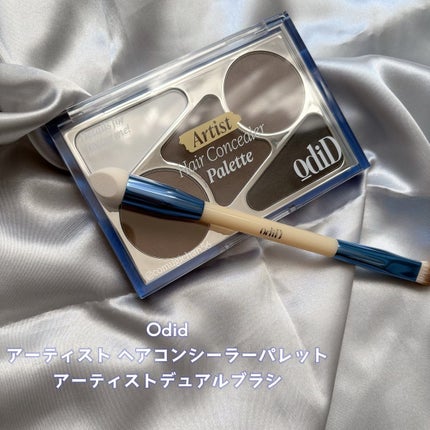 ヘアコンシーラーパレット&アーティスト デュアルブラシ/odiD/その他スタイリングを使ったクチコミ(1枚目)