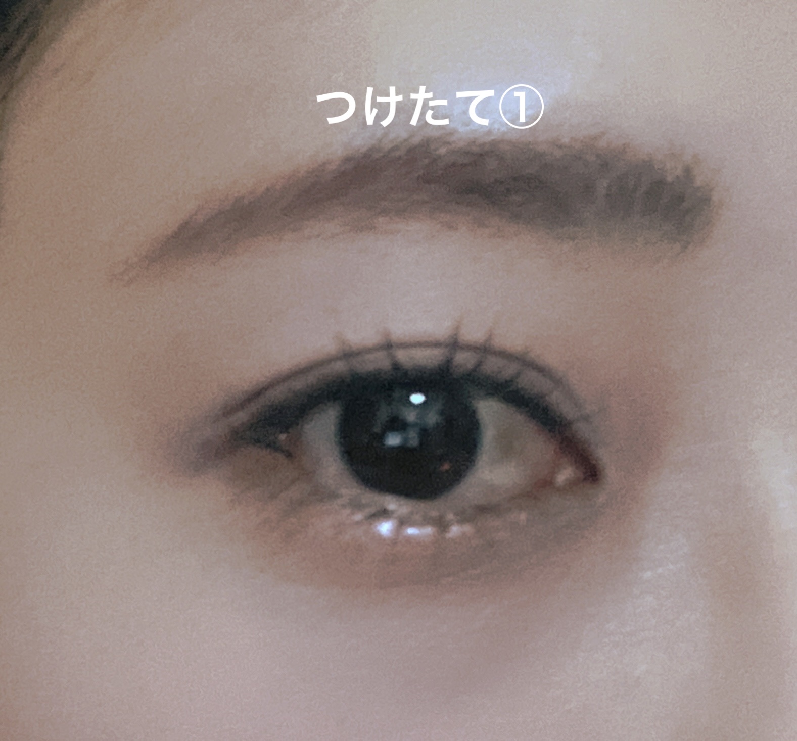 カールロックマスカラベース N/D-UP/マスカラ下地を使ったクチコミ（3枚目）