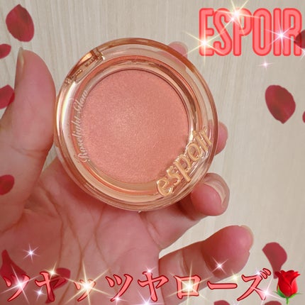 ストロービングハイライター/espoir/パウダーハイライトを使ったクチコミ(1枚目)