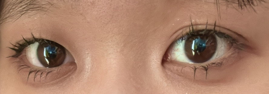 KATE ケイト デザイニングアイブロウ 3D（デュアルコントゥアカラー）のクチコミ「【色味】くすみピンクに近い
【ラメorマット】ラメとマット両方ある
【発色】少し控えめだけど丁.....」（1枚目）