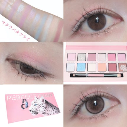 エクスプローラ12色 動物アイシャドウパレット/PERFECT DIARY/アイシャドウパレットを使ったクチコミ(6枚目)