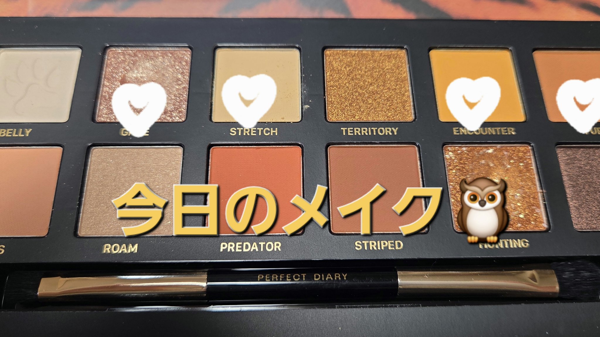 エクスプローラ12色 動物アイシャドウパレット/PERFECT DIARY/アイシャドウパレットを使ったクチコミ（1枚目）