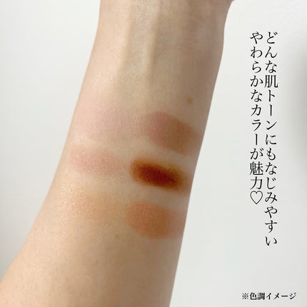 アーティストアイパレット/JUNG SAEM MOOL/アイシャドウパレットを使ったクチコミ(5枚目)