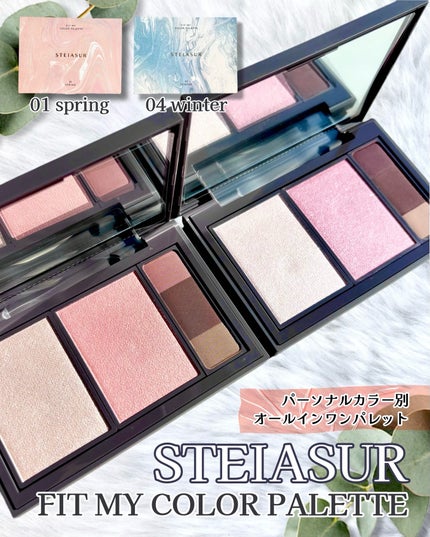 フィット my カラーパレット/STEIASUR(ステイアシュール)/マルチパレットを使ったクチコミ(1枚目)