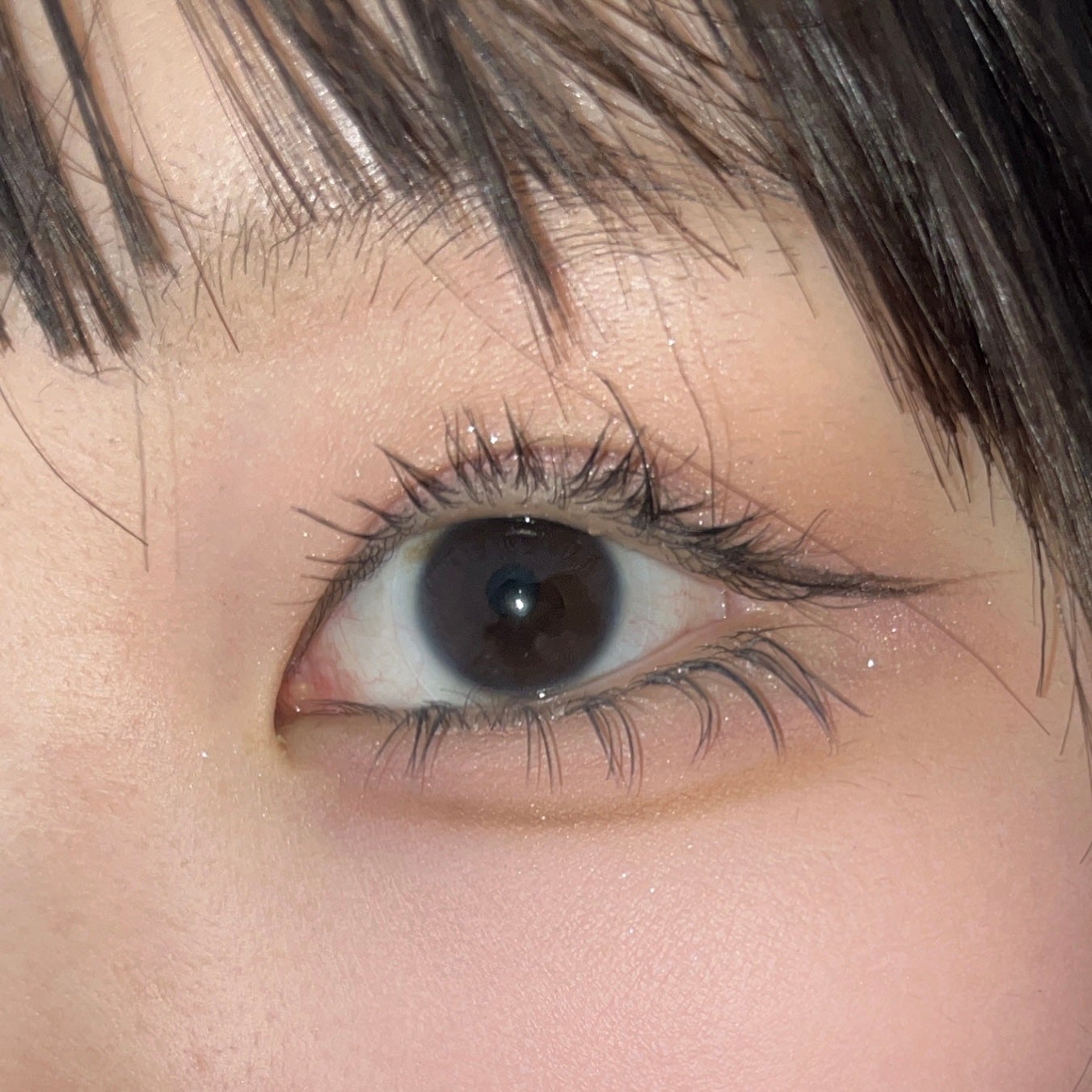 ケイト ポッピングシルエットシャドウ/KATE/アイシャドウパレットを使ったクチコミ(1枚目)