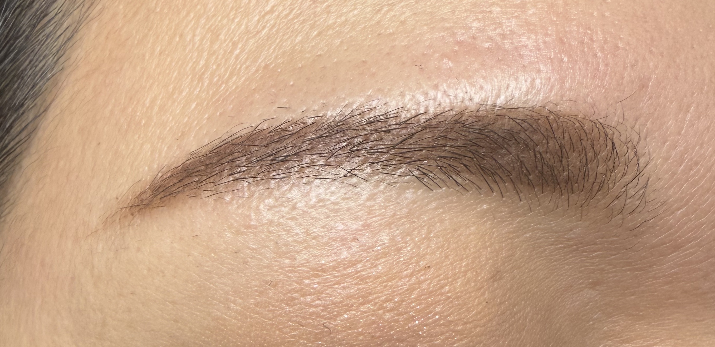 フィット my カラーパレット 03 autumn/STEIASUR（ステイアシュール）/マルチパレットを使ったクチコミ（2枚目）