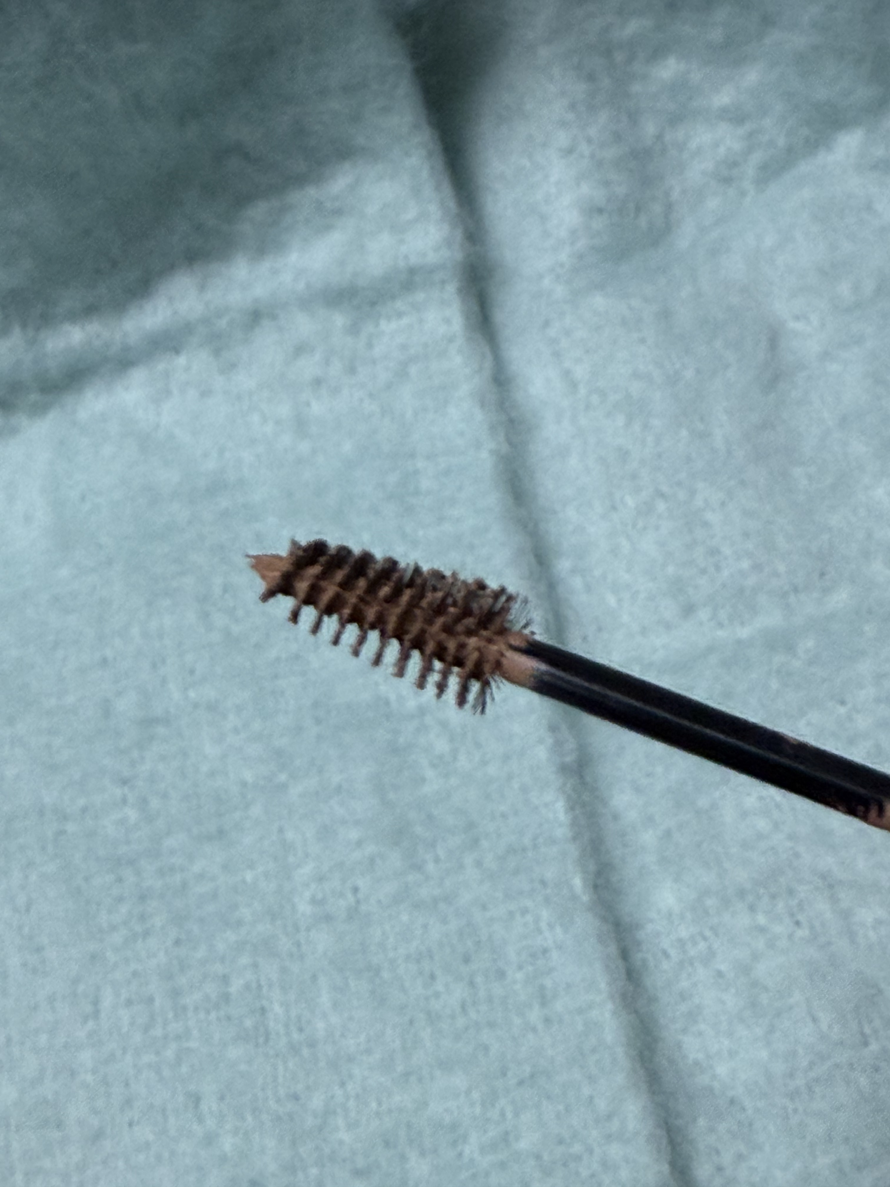 ＳＰ フラッフ ブロウ ムース/MAYBELLINE NEW YORK/眉マスカラを使ったクチコミ（3枚目）