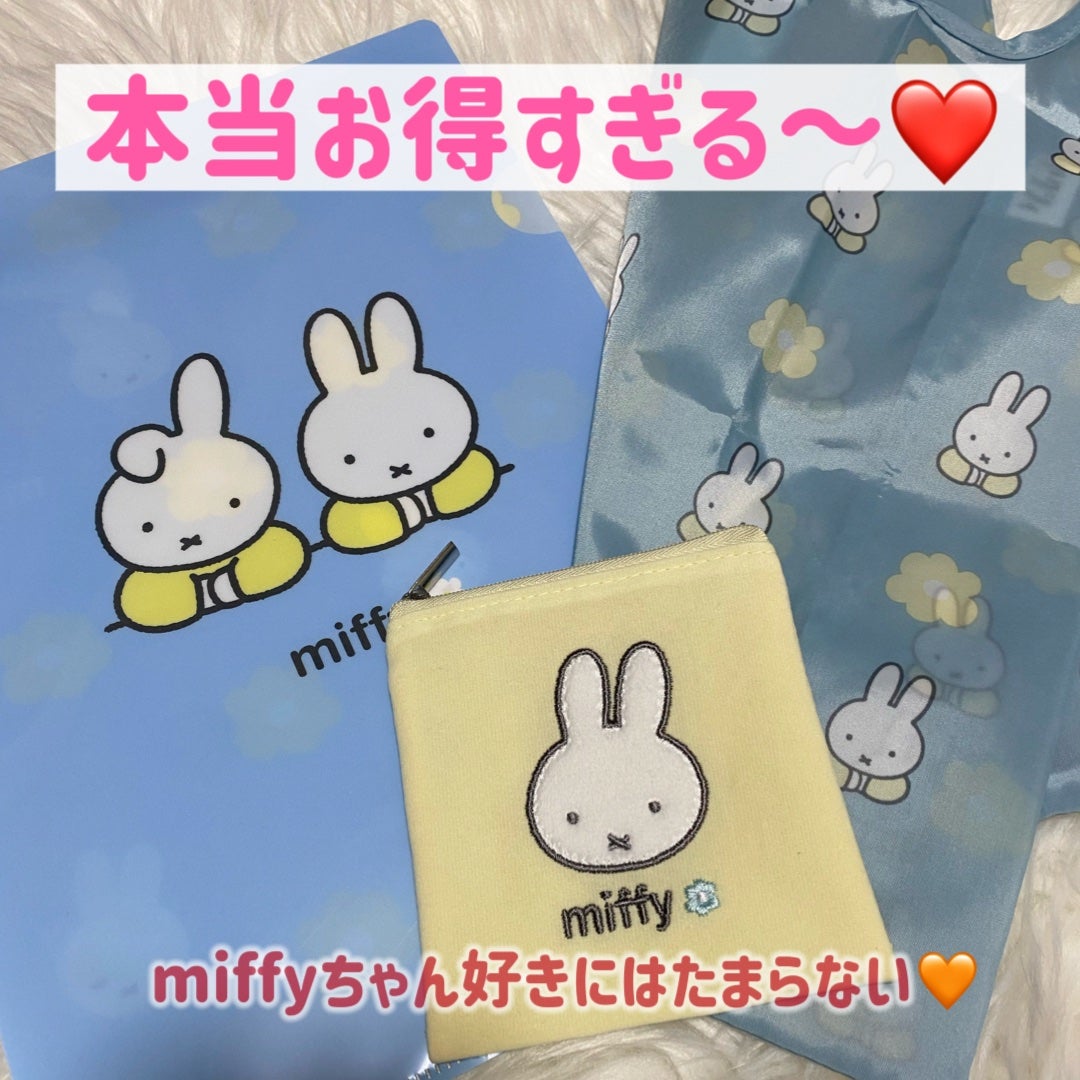 びーちゃん🍓⸝⸝꙳ on LIPS 「どうしても、ファイルも欲しくてセブンを数店舗はしごしたけどどこ..」(3枚目)