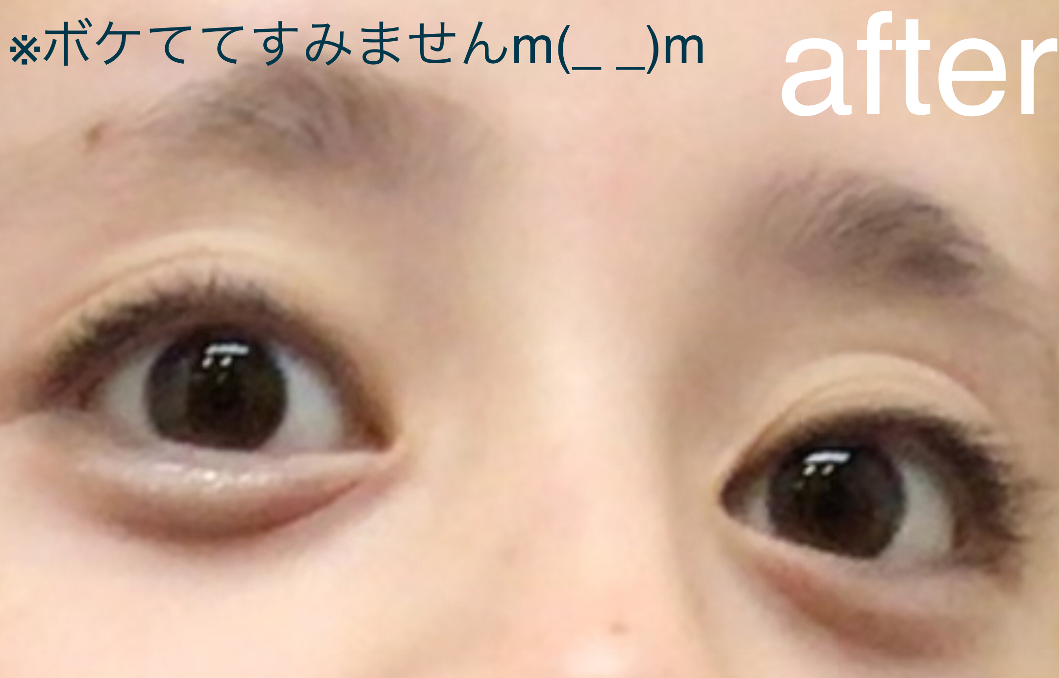 ぷくぷく涙袋パレット/MilleFée/アイシャドウパレットを使ったクチコミ（3枚目）