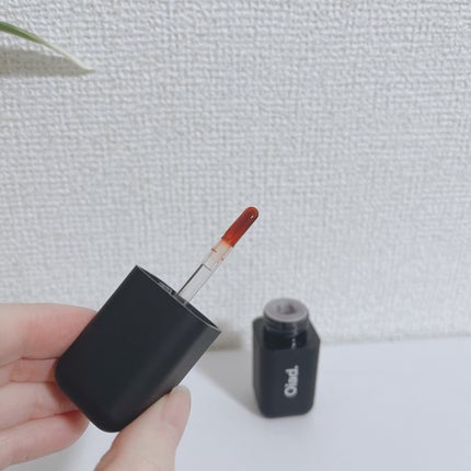 リップティーク/oiad/口紅を使ったクチコミ(2枚目)