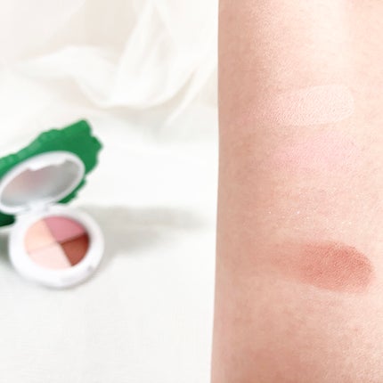 アイシャドウパレット〈塔の上のラプンツェル〉/SHOBIDO/アイシャドウパレットを使ったクチコミ(6枚目)