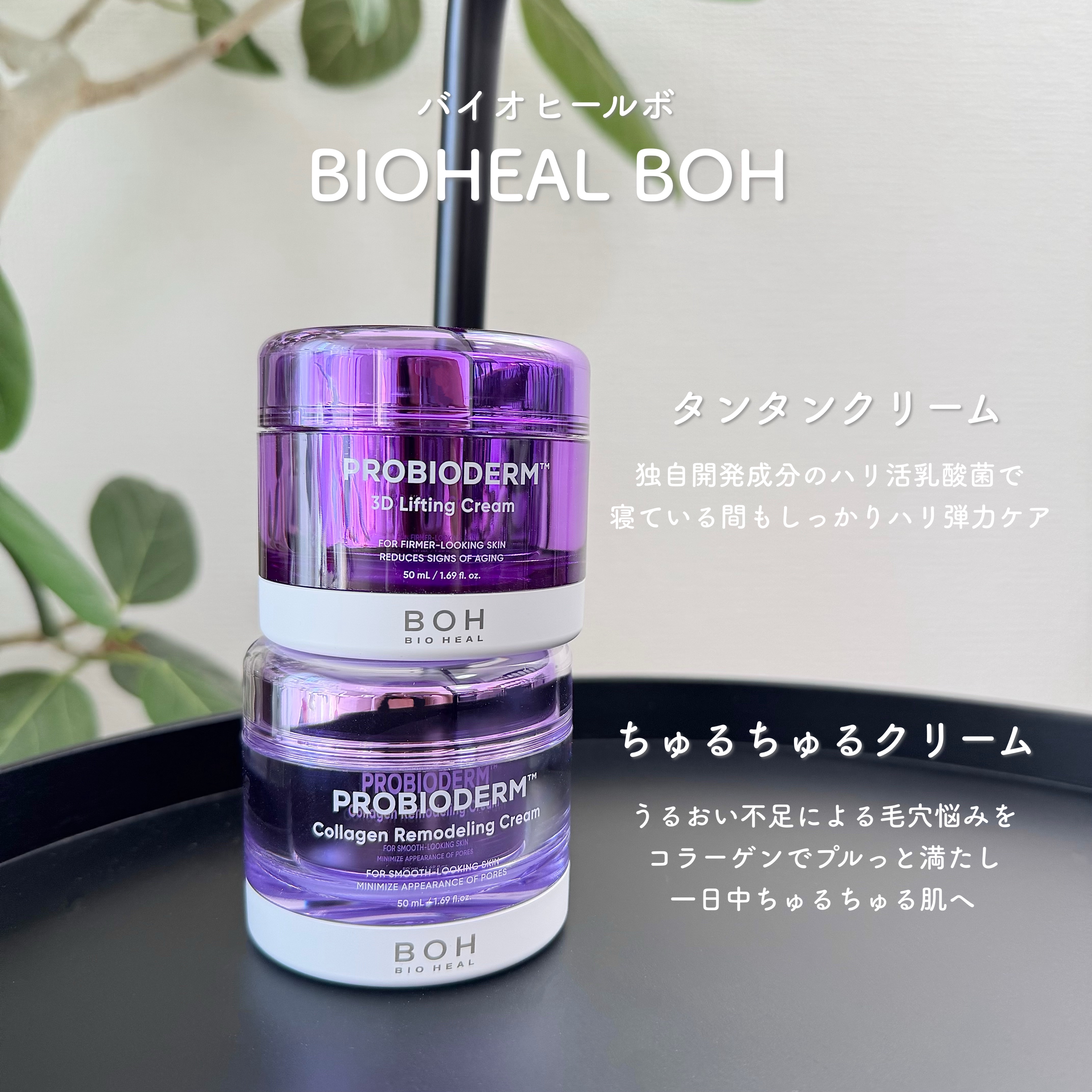 プロバイオダーム コラーゲン リモデリングクリーム/BIOHEAL BOH/フェイスクリームを使ったクチコミ（1枚目）