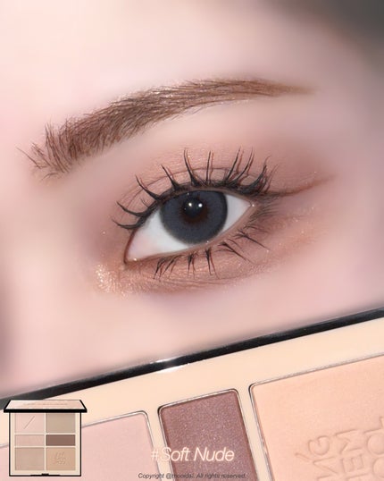 アーティストアイパレット/JUNG SAEM MOOL/アイシャドウパレットを使ったクチコミ(3枚目)