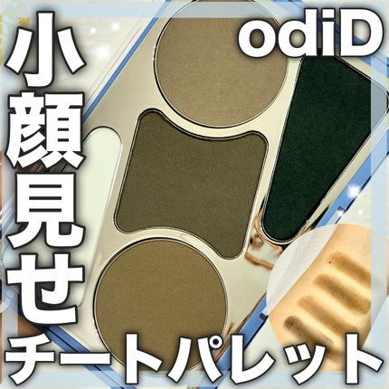 ヘアコンシーラーパレット&アーティスト デュアルブラシ/odiD/その他スタイリングを使ったクチコミ(1枚目)