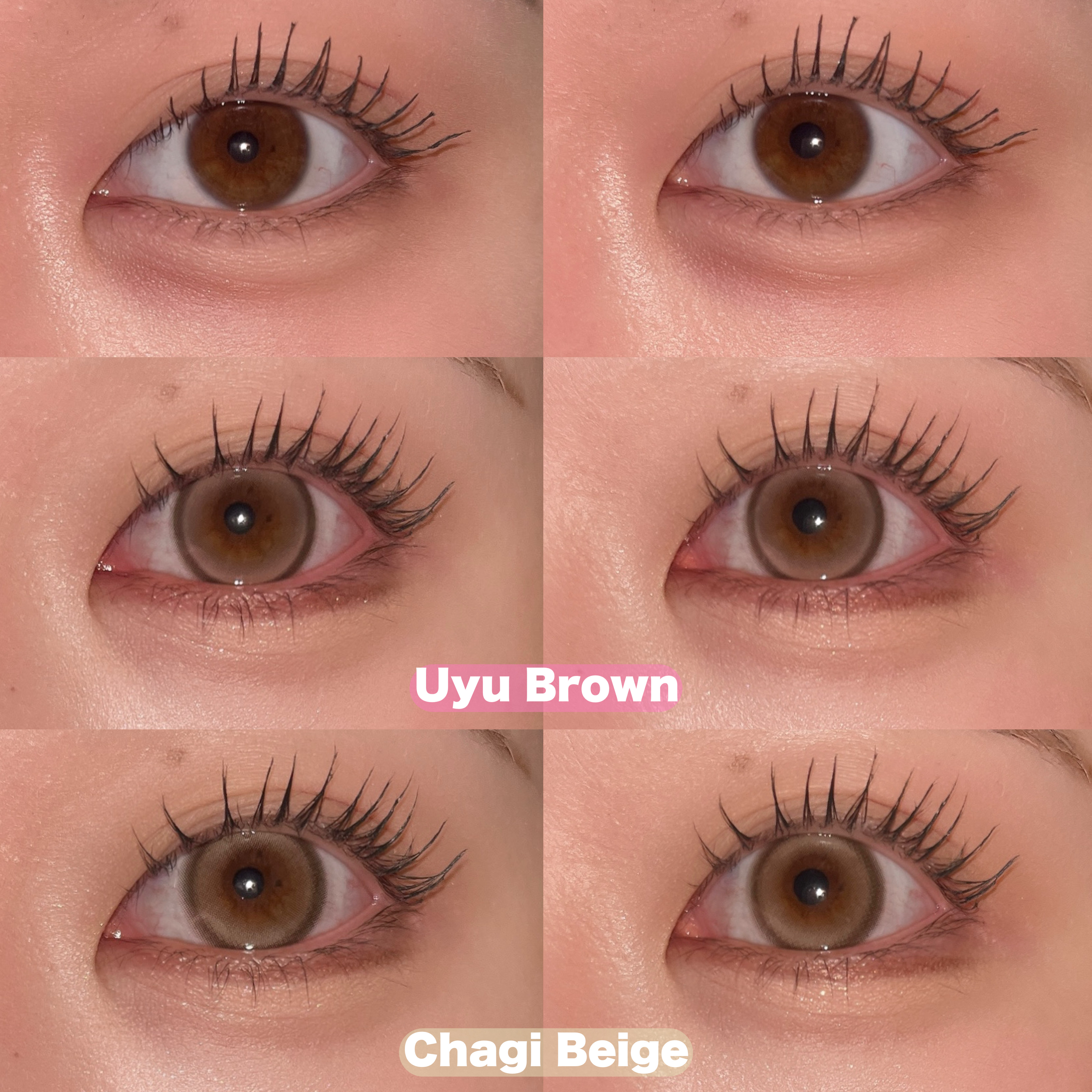 Mechu Mechu/Mechu Mechu /ワンデー（１DAY）カラコンを使ったクチコミ（3枚目）