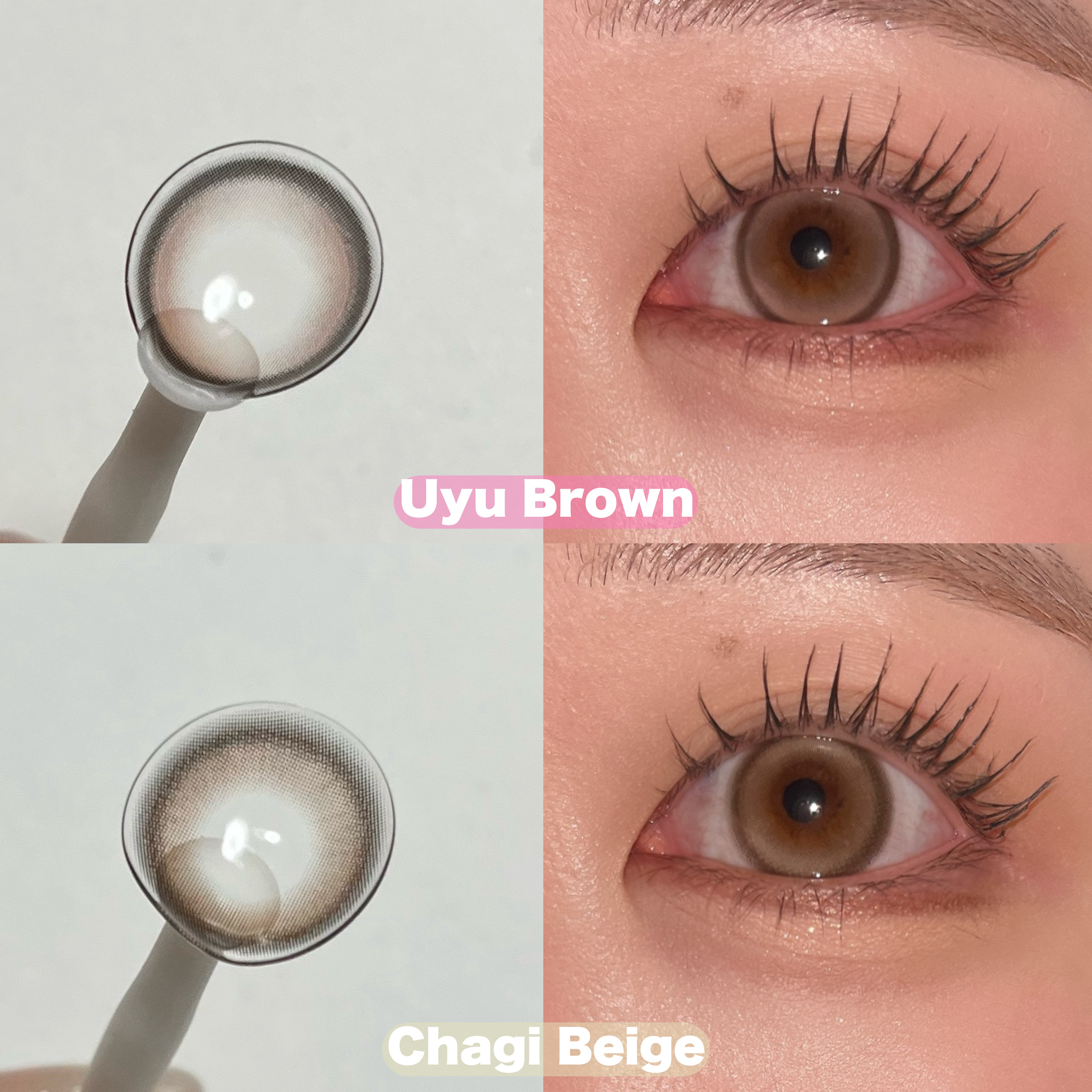 Mechu Mechu/Mechu Mechu /ワンデー（１DAY）カラコンを使ったクチコミ（2枚目）