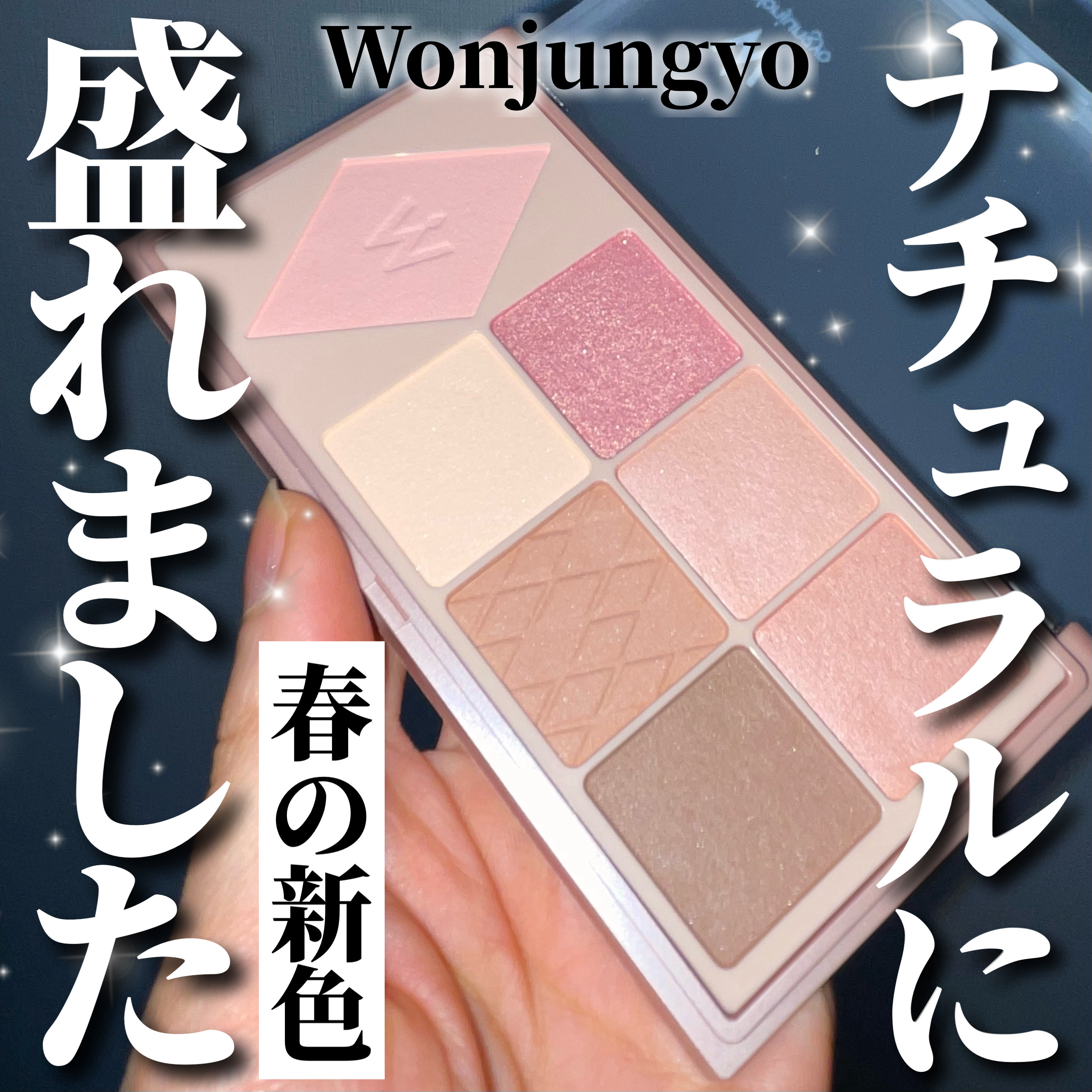 ウォンジョンヨ Ｗ デイリームードアップパレット /Wonjungyo/アイシャドウパレットを使ったクチコミ（1枚目）