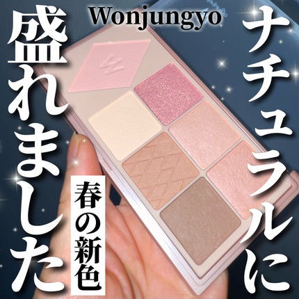 ウォンジョンヨ W デイリームードアップパレット /Wonjungyo/アイシャドウパレットを使ったクチコミ(1枚目)